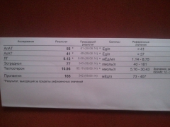 2014 08 07 11.21.54