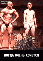 post-5456-0-42224100-1417845902_thumb.gif