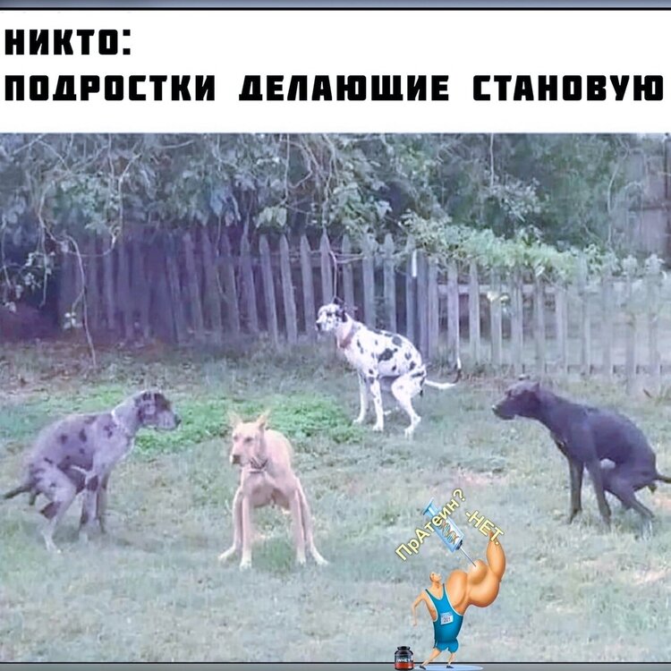 sS2UGtkS5HMymmvt5xSJmQxlPvhQZf_VHas6DiiHBmRrR63YW3fKKL_hBxMlV92XA9dSfd4dBWMS6qUC6GFlK2Cd.jpg